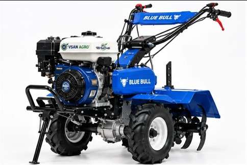 BLUE BULL