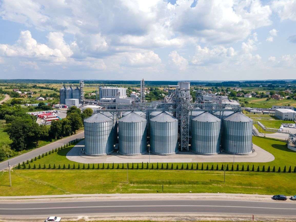 Government Dairy Development Projects