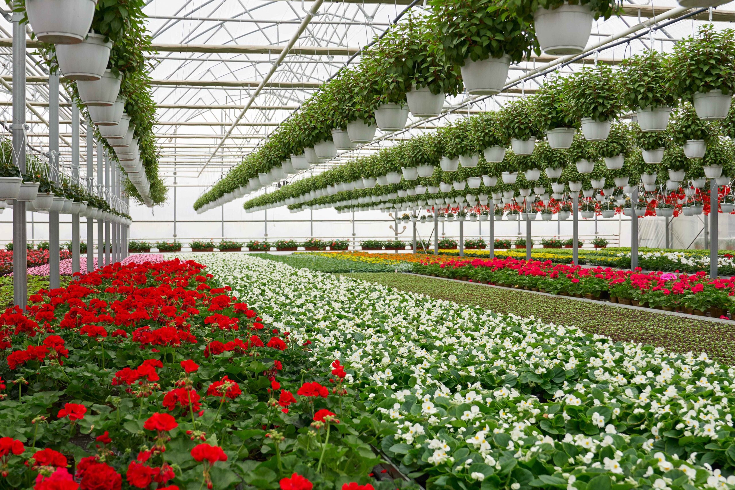 Horticulture