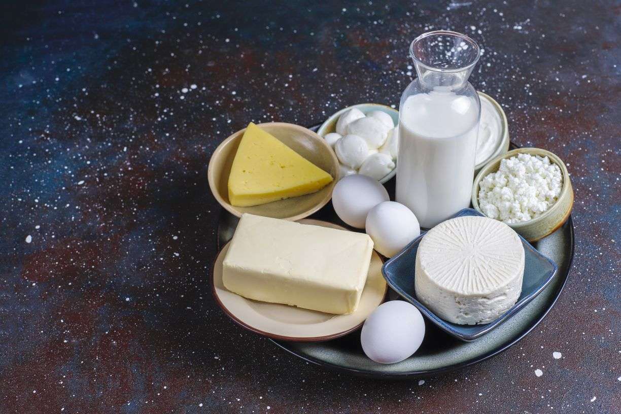 Dairy Cooperatives